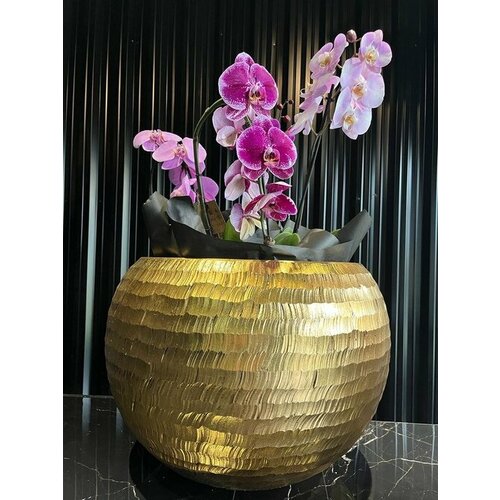 "Золотое кашпо" - большое и красивое кашпо с золотистым покрытием для цветов