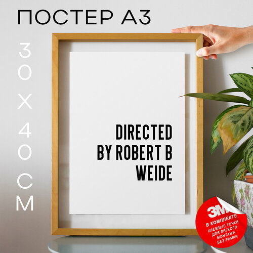 Плакат, постер на стену - Мемы Directed by robert b weide, 30х40, А3