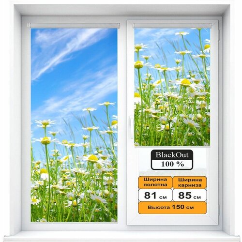 Рулонная штора Блэкаут (Blackout) с фотопечатью Ромашковый луг 81х150см