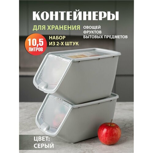 Комплект из 2 штук контейнеры универсальные с откидной крышкой Альт-Пласт 10,5л серый