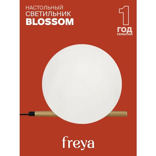 Настольный светильник Freya FR5259TL-01BS