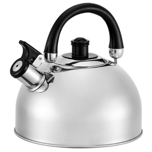 Webber Чайник со свистком BE-0528, 4.5 л, 4.5 л, серебристый/черный