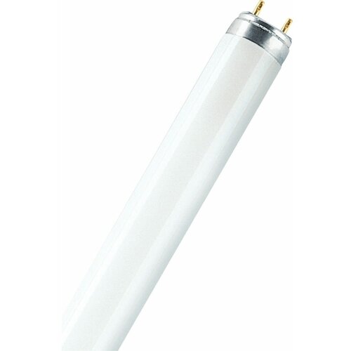 Лампа люминесцентная L 36W/840 LUMILUX 36Вт T8 4000К G13 смол. OSRAM 4058075692978