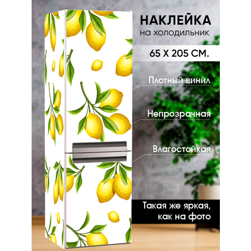 Наклейка на холодильник интерьерная 
