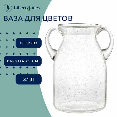 Ваза для цветов и сухоцветов Flowi 25 см стеклянная настольная с ручками 3.1 л Liberty Jones LJ0000283