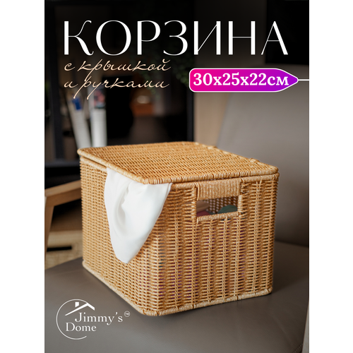 Корзина для хранения Jimmy's Dome, плетеная, прямоугольная, бежевая, с крышкой, пластик