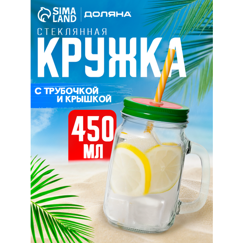 Кружка стеклянная для чая и кофе с трубочкой и крышкой Доляна «Гладь» 450 мл, цвет МИКС
