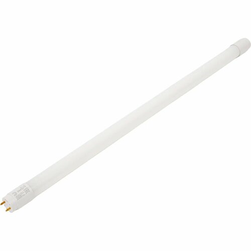 Светодиодная лампа ЭРА red line led t8-10w-865-g13-600mm ntb g13, неповоротный, 10вт, трубка, стекло, холодный дневной свет Б0056905