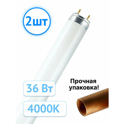 Люминесцентная лампа Osram Basic T8 58W/33-640 4000K 4600Лм G13 трубка (комплект из 2 шт.)