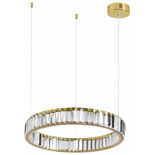 Люстры и потолочные светильники Odeon Light 5015/30L