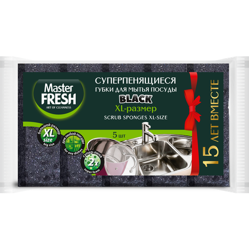 Губки для мытья посуды Master Fresh Black XL, bubble-поролон, 5 шт