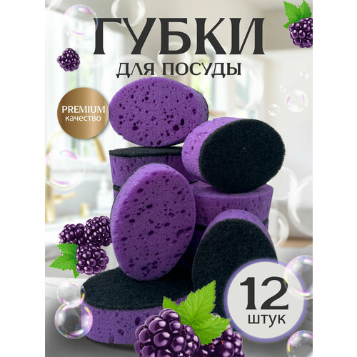 Губки для мытья посуды PRO CLEANLY, для кухни, поролоновые овальные, набор 12 шт, фиолетовые
