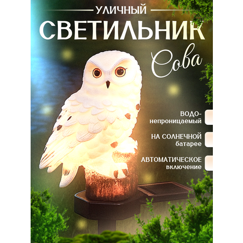 Садовый светильник на солнечной батарее, теплый свет, влагозащищенный, белая сова