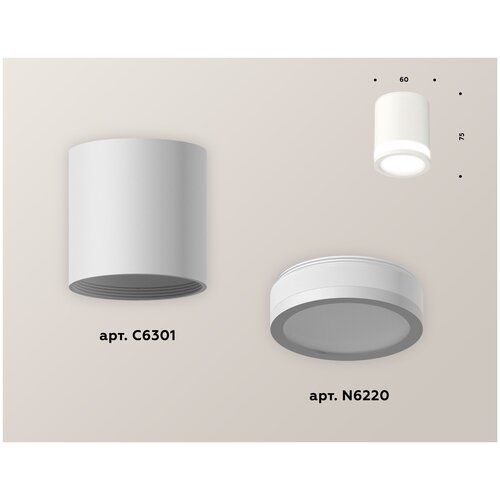 Комплект накладного светильника с акрилом Ambrella light Techno spot XS6301060