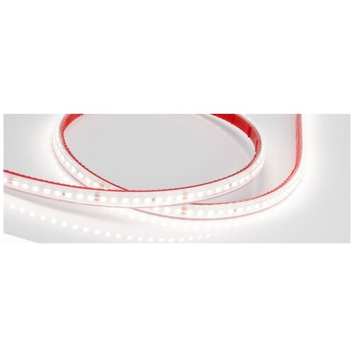 LED лента герметичная RTW-PS-A160-10mm, 24V, Day5000 (12 W/m, IP67, 2835, 5m), Arlight