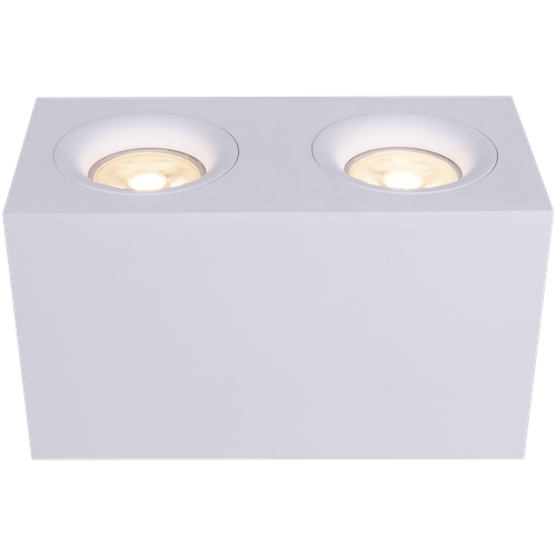 Потолочный светильник Maytoni Technical Slim C013CL-02W