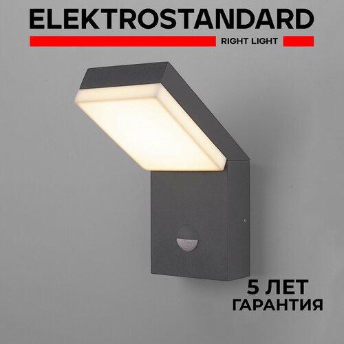 Уличный настенный светодиодный светильник Elektrostandard Sensor 1541 TECHNO LED серый IP54 с датчиком движения