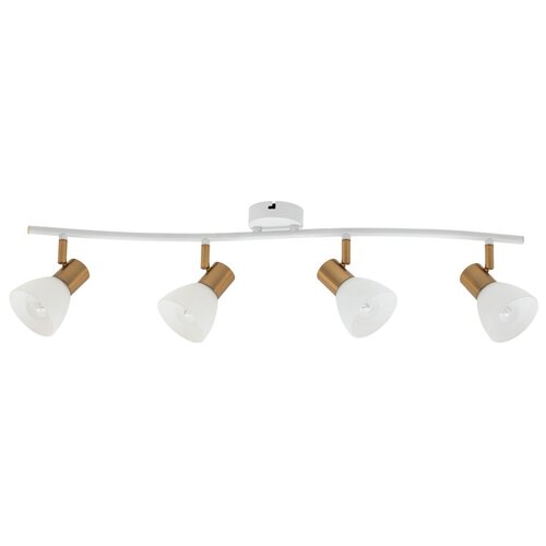 Спот Arte Lamp FALENA A3117PL-4WH