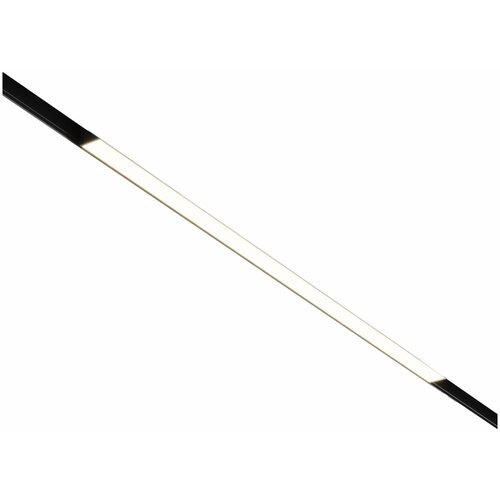 Спот MAYTONI Basis TR030-2-12W4K-B черный 1 шт. черный черный черный 12 Вт 4000 K 4.4 см 44 см