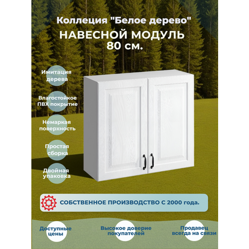Кухонный навесной шкаф 80х31х72 см, 2 двери, ЛДСП, МДФ, без зеркал, без ящиков