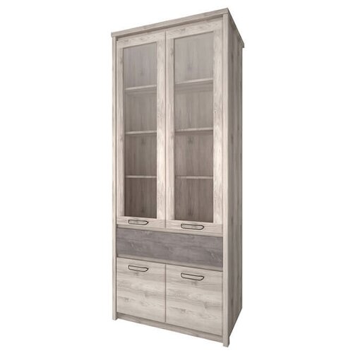 Шкаф-витрина Anrex Jazz 2V2D1S, (ШхГхВ): 86.8х40.3х210 см, каштан найроби/оникс