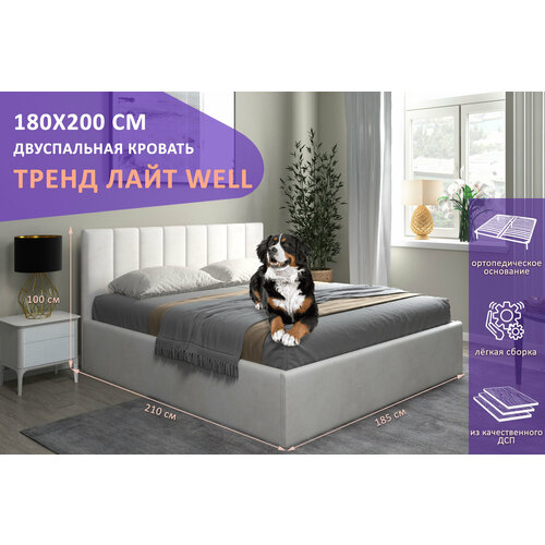 Двуспальная кровать Тренд Лайт WELL 180х200 см, с ортопедическим подъемным механизмом, без ножек, цвет молочный