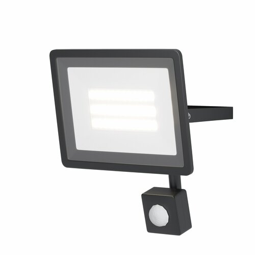 Maytoni Прожектор Maytoni Flood FL001-L30B6KSR