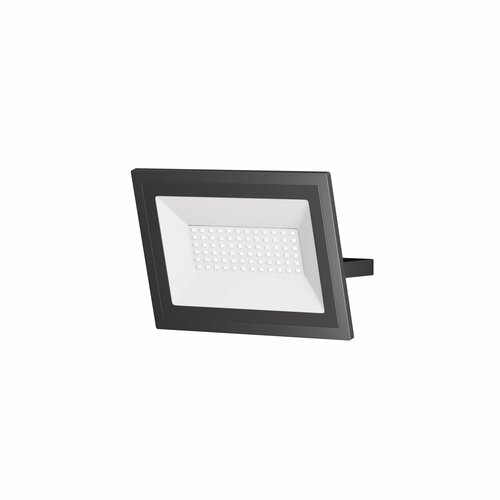 Maytoni Прожектор Maytoni Flood FL001-L50B6K