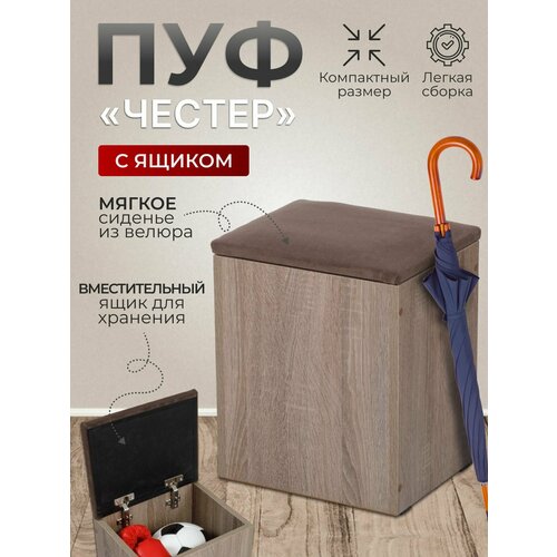 Пуф Честер тип 1, BUDUNOV GROUP, Сонома трюфель/ТК коричневый, пуфик с ящиком для хранения, пуф в прихожую, 33х27х42 см.