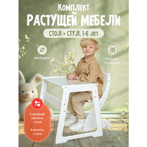 Комплект растущей мебели, детский стул и стол Друг Кузя белый подушечка совушки