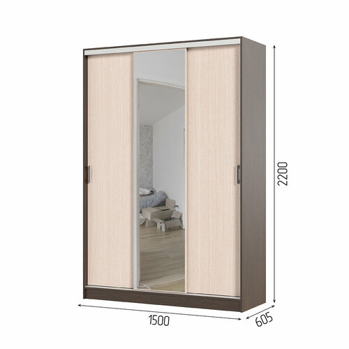 Шкаф-купе Альянс 1,5 м 1500*2200*610мм