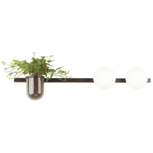 Бра Odeon Light Flower 4681/2W, E14, 80 Вт, кол-во ламп: 2 шт., черный/белый