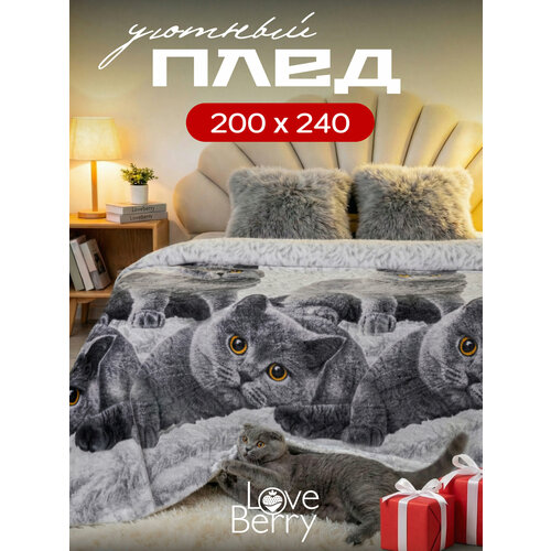 Плед 240х200 LOVEBERRY из велсофта Евро-макси, Британцы, подарок маме