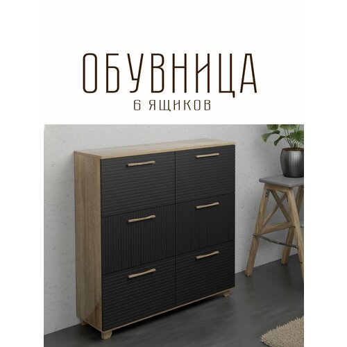 Обувница Копенгаген 6 ящиков ЛДСП Дуб самдал / МДФ Черный матовый 100х40х95