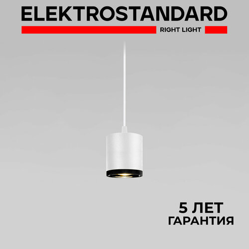Подвесной светодиодный светильник Elektrostandard Lead 50243 LED 12W 4200K белый IP20