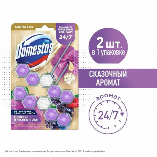 Блок для унитаза Domestos Power 5 duo, 2х50 г
