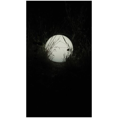 Шар декоративный с LED подсветкой D20(белый)