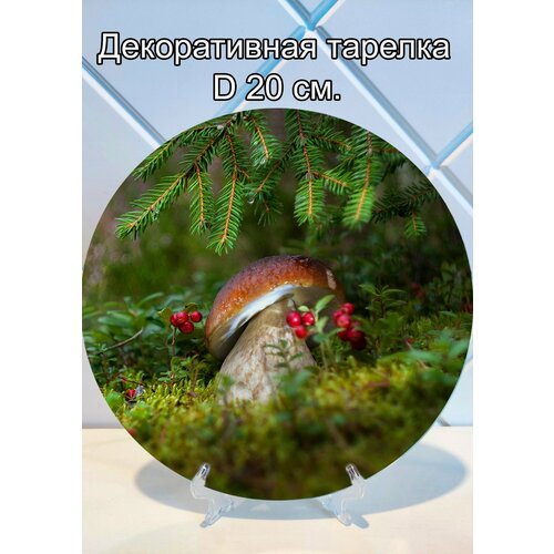 Декоративная тарелка 