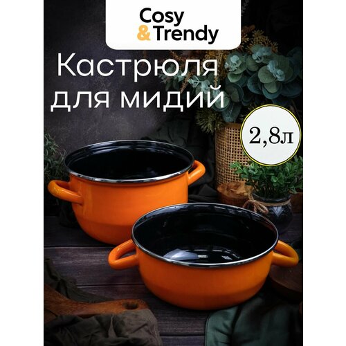 Кастрюля для мидий Cosy & Trendy Mussel Pots 2,8 л оранжевая, керамика