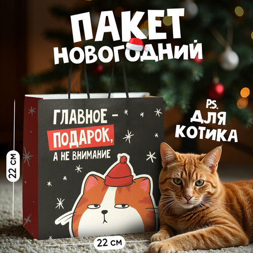 Пакет подарочный «Счастье», 22 х 22 х 11 см, Новый год