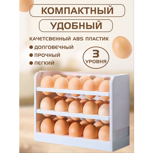 Контейнер для яиц с разделителями