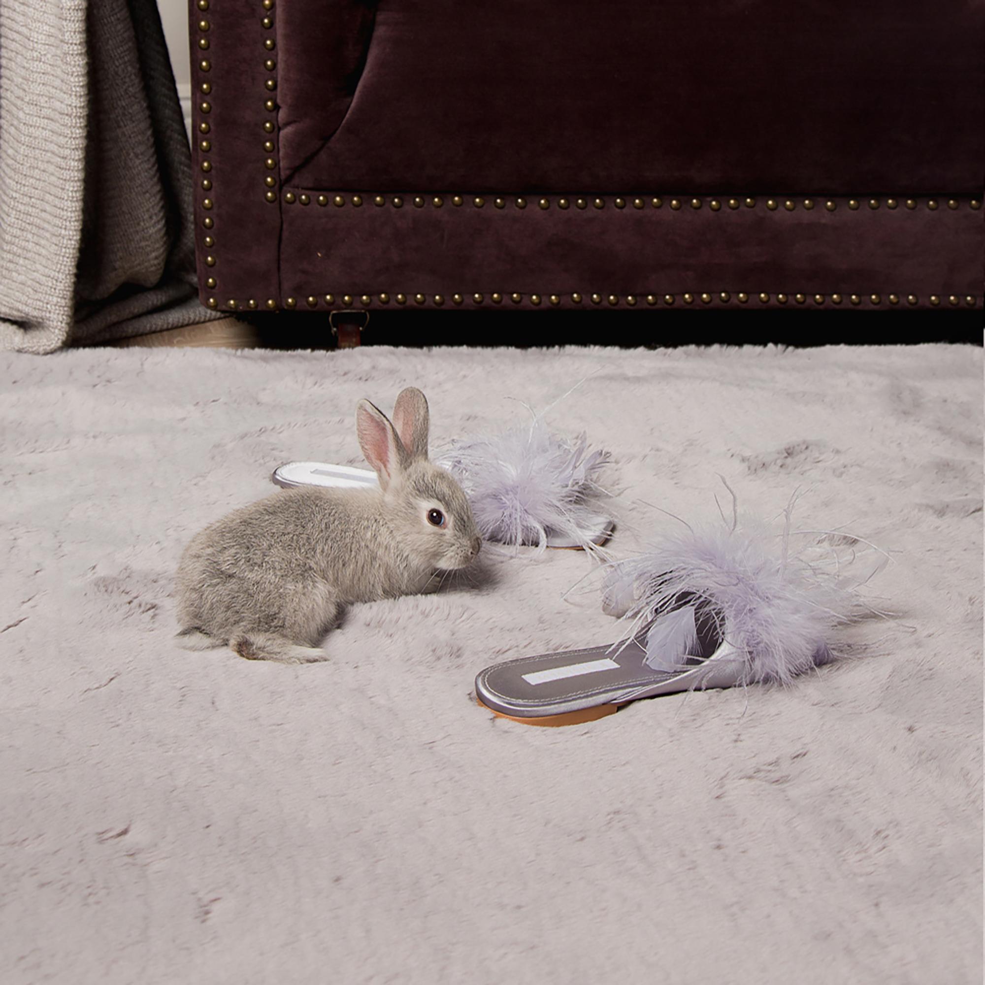 Lazurit Ковер Rabbit серый 160 x 230