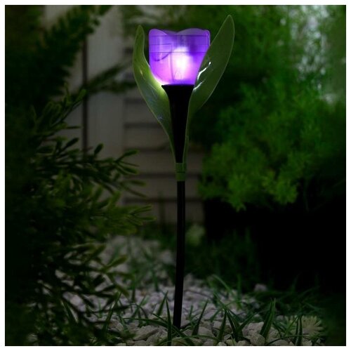 Садовый светильник на солнечной батарее «Тюльпан фиолетовый», 4.5 × 29 × 4.5 см, 1 LED, свечение белое