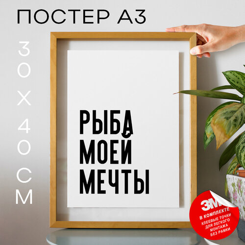 Интерьерный постер с надписью на стену, плакат - Мемы Рыба моей мечты, 30х40, А3